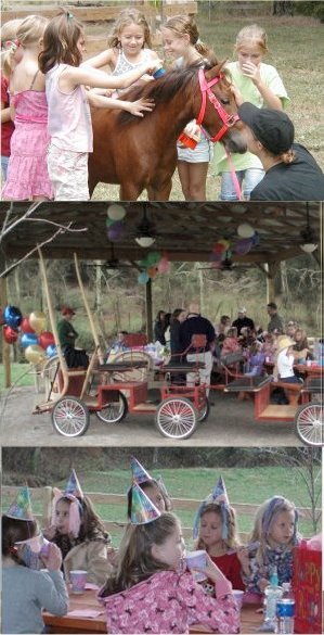 Children Birthday Parties Knoxville TN